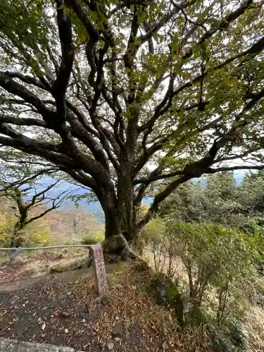 大山阿夫利神社本社(神奈川県)