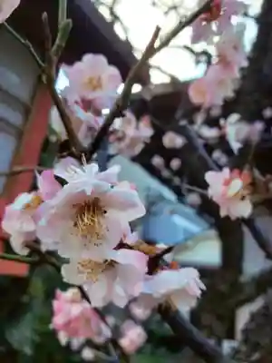 四谷於岩稲荷田宮神社(東京都)
