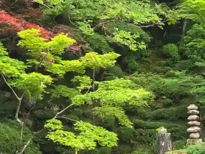 明寿院(滋賀県)