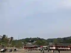 厳島神社(広島県)