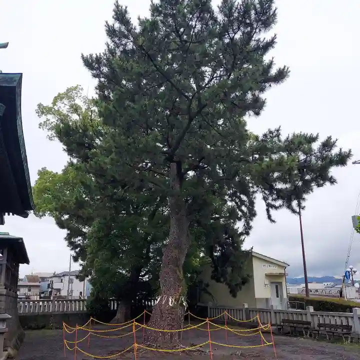 水神社(富士見町)の自然