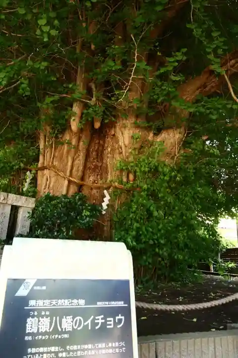 鶴嶺八幡宮(神奈川県)