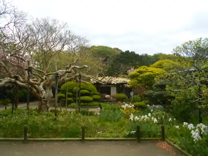 極楽寺(霊鷲山感應院極楽律寺)の庭園