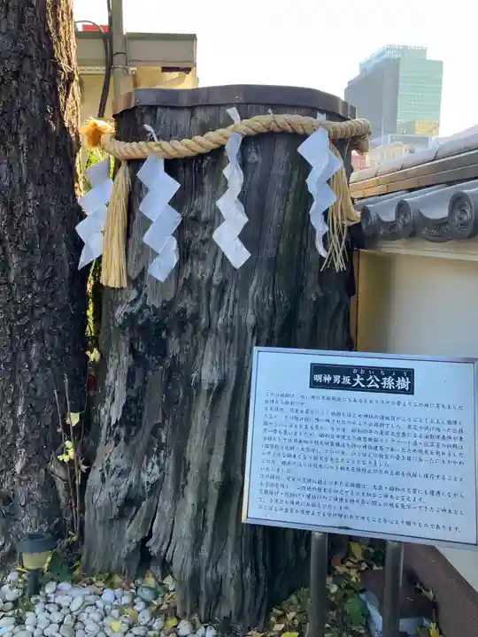 神田神社(神田明神)(東京都)