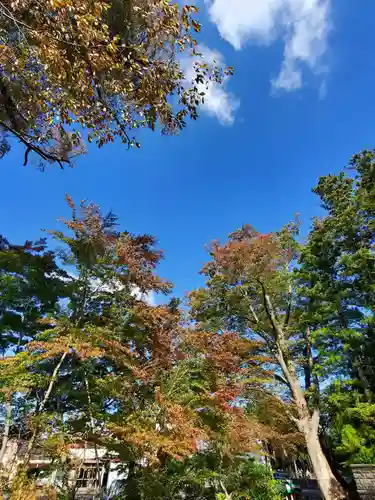 神炊館神社 ⁂奥州須賀川総鎮守⁂(福島県)