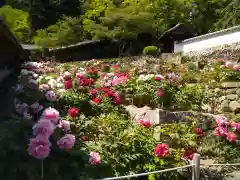 長谷寺(奈良県)