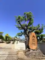 真光寺の{uncategorized: "未分類", other: "その他", undefined: "問題あり", building: "その他建物", grave: "お墓", sacred_gate: "鳥居", guardian: "狛犬", statue: "像", buddha: "仏像", history: "歴史", nature: "自然", garden: "庭園", animal: "動物", pagoda: "塔", temizu: "手水舎", mountain_gate: "山門・神門", sanctuary: "本殿・本堂", subordinate: "末社・摂社", art: "芸術", scenery: "景色", jizo: "地蔵", ema: "絵馬", goshuin: "御朱印", omikuji: "おみくじ", items: "授与品その他", amulet: "お守り", goshuincho: "御朱印帳", eats: "食事", festival: "お祭り", votive_dance: "神楽", shichigosan: "七五三参", wedding: "結婚式", experience: "体験その他", initially: "初詣", around: "周辺", anti_infection: "感染症対策"}
