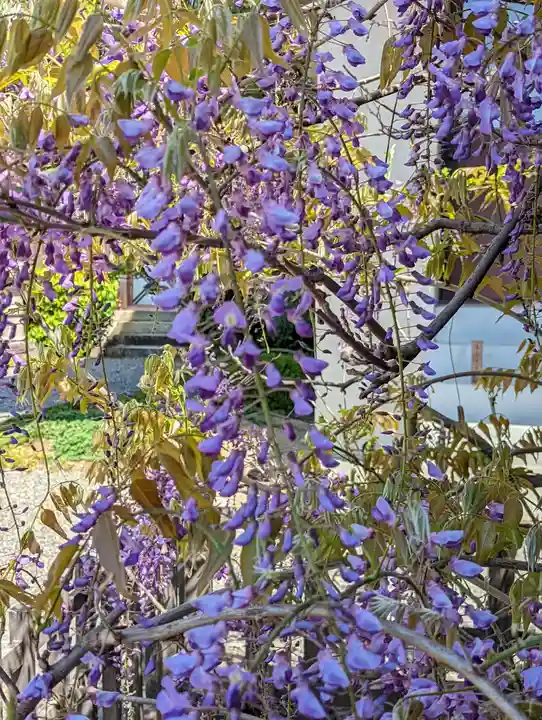 西院春日神社(京都府)