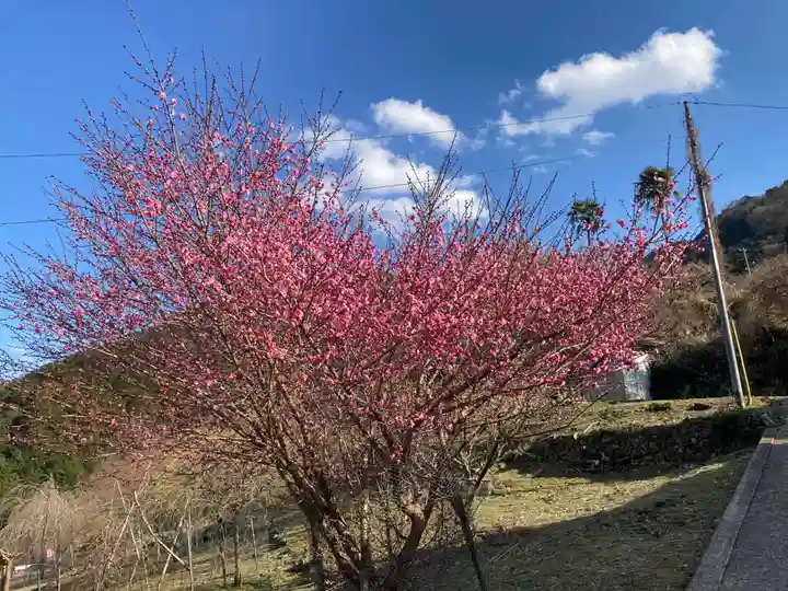 二之宮八幡神社(徳島県)