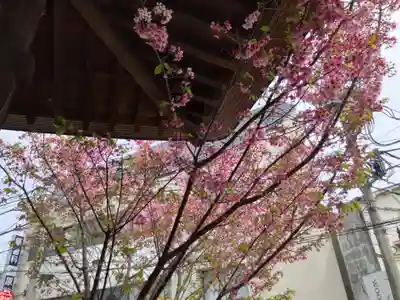 弘明寺(神奈川県)