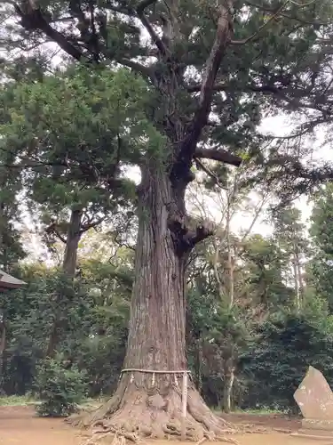 松山神社(千葉県)