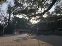 大原八幡宮の{uncategorized: "未分類", other: "その他", undefined: "問題あり", building: "その他建物", grave: "お墓", sacred_gate: "鳥居", guardian: "狛犬", statue: "像", buddha: "仏像", history: "歴史", nature: "自然", garden: "庭園", animal: "動物", pagoda: "塔", temizu: "手水舎", mountain_gate: "山門・神門", sanctuary: "本殿・本堂", subordinate: "末社・摂社", art: "芸術", scenery: "景色", jizo: "地蔵", ema: "絵馬", goshuin: "御朱印", omikuji: "おみくじ", items: "授与品その他", amulet: "お守り", goshuincho: "御朱印帳", eats: "食事", festival: "お祭り", votive_dance: "神楽", shichigosan: "七五三参", wedding: "結婚式", experience: "体験その他", initially: "初詣", around: "周辺", anti_infection: "感染症対策"}