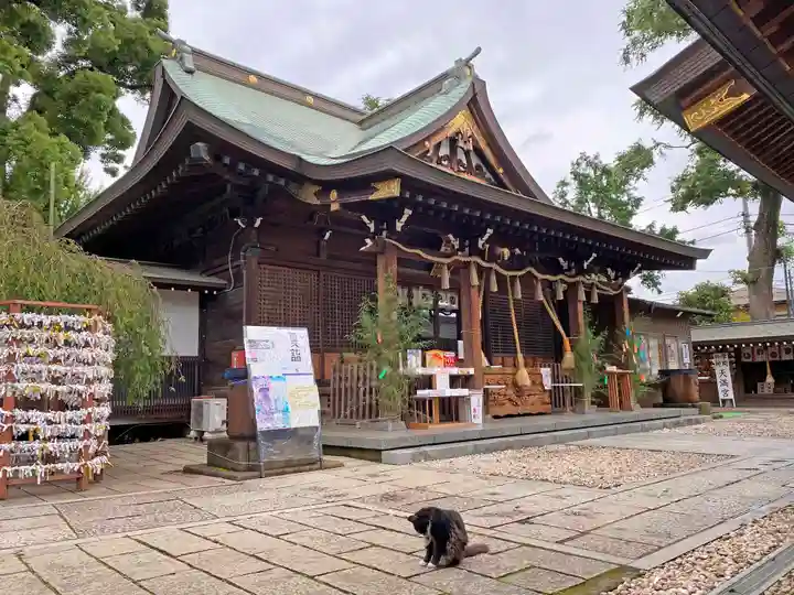 鳩ヶ谷氷川神社の本殿・本堂
