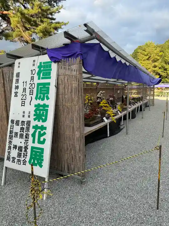 橿原神宮(奈良県)