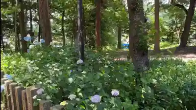 飯笠山神社の自然
