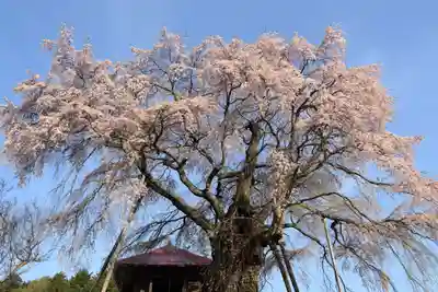 上石不動堂の自然