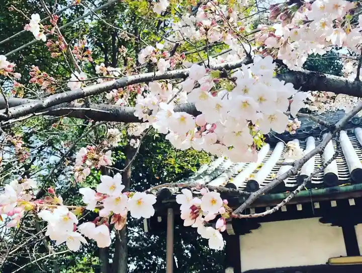 道明寺天満宮の自然