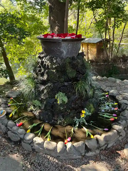武蔵一宮氷川神社(埼玉県)