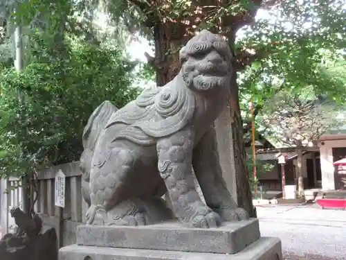 駒込天祖神社の狛犬