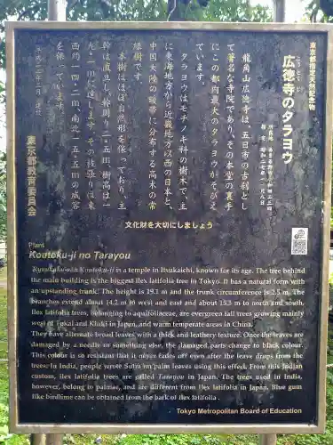 廣徳寺(東京都)