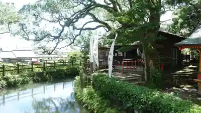 鹿児島神宮(鹿児島県)