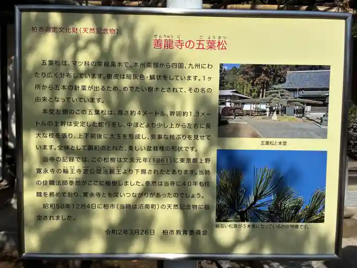 善龍寺(千葉県)