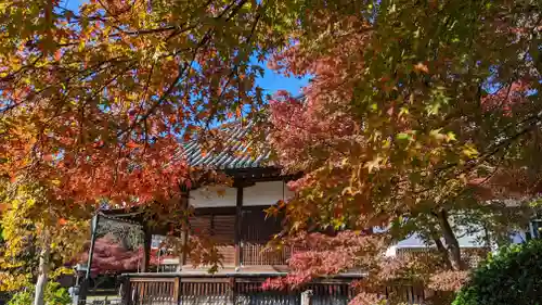 乙訓寺(京都府)