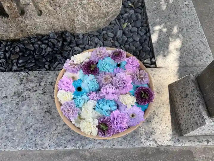 彌都加伎神社の{uncategorized: "未分類", other: "その他", undefined: "問題あり", building: "その他建物", grave: "お墓", sacred_gate: "鳥居", guardian: "狛犬", statue: "像", buddha: "仏像", history: "歴史", nature: "自然", garden: "庭園", animal: "動物", pagoda: "塔", temizu: "手水舎", mountain_gate: "山門・神門", sanctuary: "本殿・本堂", subordinate: "末社・摂社", art: "芸術", scenery: "景色", jizo: "地蔵", ema: "絵馬", goshuin: "御朱印", omikuji: "おみくじ", items: "授与品その他", amulet: "お守り", goshuincho: "御朱印帳", eats: "食事", festival: "お祭り", votive_dance: "神楽", shichigosan: "七五三参", wedding: "結婚式", experience: "体験その他", initially: "初詣", around: "周辺", anti_infection: "感染症対策"}