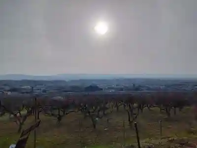 九社神社の{uncategorized: "未分類", other: "その他", undefined: "問題あり", building: "その他建物", grave: "お墓", sacred_gate: "鳥居", guardian: "狛犬", statue: "像", buddha: "仏像", history: "歴史", nature: "自然", garden: "庭園", animal: "動物", pagoda: "塔", temizu: "手水舎", mountain_gate: "山門・神門", sanctuary: "本殿・本堂", subordinate: "末社・摂社", art: "芸術", scenery: "景色", jizo: "地蔵", ema: "絵馬", goshuin: "御朱印", omikuji: "おみくじ", items: "授与品その他", amulet: "お守り", goshuincho: "御朱印帳", eats: "食事", festival: "お祭り", votive_dance: "神楽", shichigosan: "七五三参", wedding: "結婚式", experience: "体験その他", initially: "初詣", around: "周辺", anti_infection: "感染症対策"}