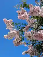 潮田神社(神奈川県)