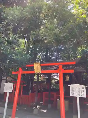 賀茂御祖神社（下鴨神社）(京都府)