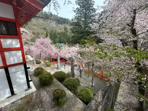 金櫻神社(山梨県)