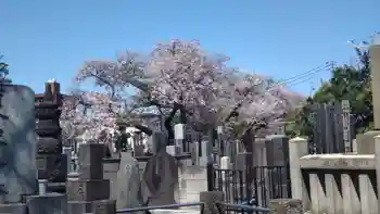 延命院の御朱印 2026年04月