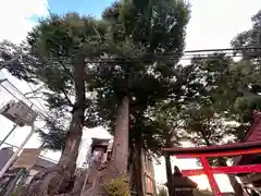 神明神社(山梨県)