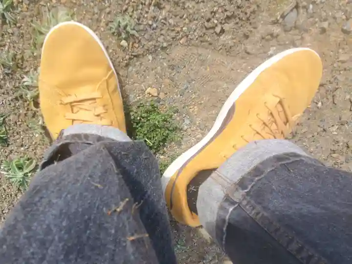 矢部城跡八幡宮(群馬県)