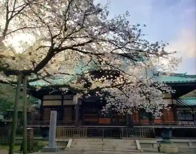 龍光寺(東京都)
