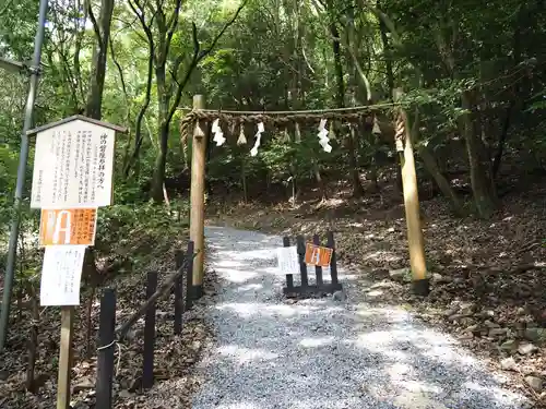 出雲大神宮の鳥居