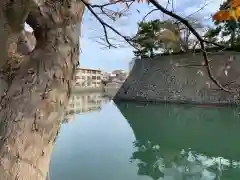 福井神社の周辺