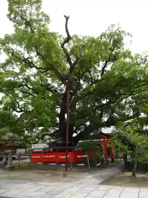 龍田神社の自然