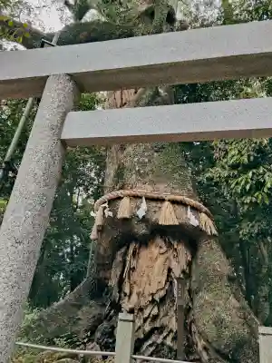 松阪神社の{uncategorized: "未分類", other: "その他", undefined: "問題あり", building: "その他建物", grave: "お墓", sacred_gate: "鳥居", guardian: "狛犬", statue: "像", buddha: "仏像", history: "歴史", nature: "自然", garden: "庭園", animal: "動物", pagoda: "塔", temizu: "手水舎", mountain_gate: "山門・神門", sanctuary: "本殿・本堂", subordinate: "末社・摂社", art: "芸術", scenery: "景色", jizo: "地蔵", ema: "絵馬", goshuin: "御朱印", omikuji: "おみくじ", items: "授与品その他", amulet: "お守り", goshuincho: "御朱印帳", eats: "食事", festival: "お祭り", votive_dance: "神楽", shichigosan: "七五三参", wedding: "結婚式", experience: "体験その他", initially: "初詣", around: "周辺", anti_infection: "感染症対策"}