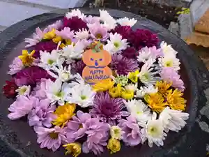 真言宗 善通寺派 薬王寺(香川県)(2025年10月31日(金) 16時31分59秒投稿)