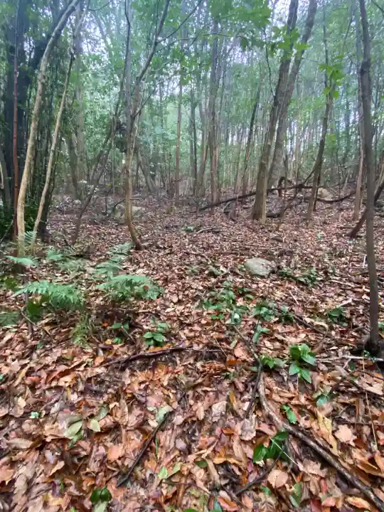 安仁神社の{uncategorized: "未分類", other: "その他", undefined: "問題あり", building: "その他建物", grave: "お墓", sacred_gate: "鳥居", guardian: "狛犬", statue: "像", buddha: "仏像", history: "歴史", nature: "自然", garden: "庭園", animal: "動物", pagoda: "塔", temizu: "手水舎", mountain_gate: "山門・神門", sanctuary: "本殿・本堂", subordinate: "末社・摂社", art: "芸術", scenery: "景色", jizo: "地蔵", ema: "絵馬", goshuin: "御朱印", omikuji: "おみくじ", items: "授与品その他", amulet: "お守り", goshuincho: "御朱印帳", eats: "食事", festival: "お祭り", votive_dance: "神楽", shichigosan: "七五三参", wedding: "結婚式", experience: "体験その他", initially: "初詣", around: "周辺", anti_infection: "感染症対策"}
