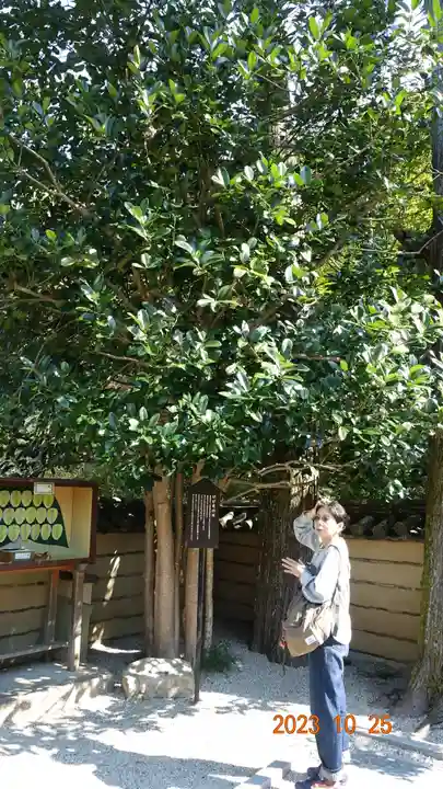 法起院(奈良県)