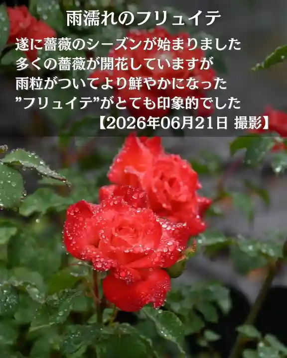 宝光寺(北海道)