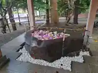 千歳神社の手水舎