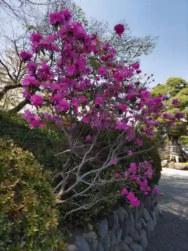 普済寺の庭園