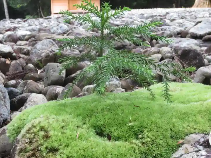 瀧原宮(皇大神宮別宮)の自然