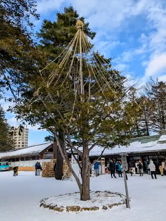 北海道神宮の自然