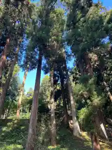 大宮温泉神社(栃木県)(2023年08月27日(日) 07時49分53秒投稿)