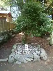 竹大與杼神社の建物その他